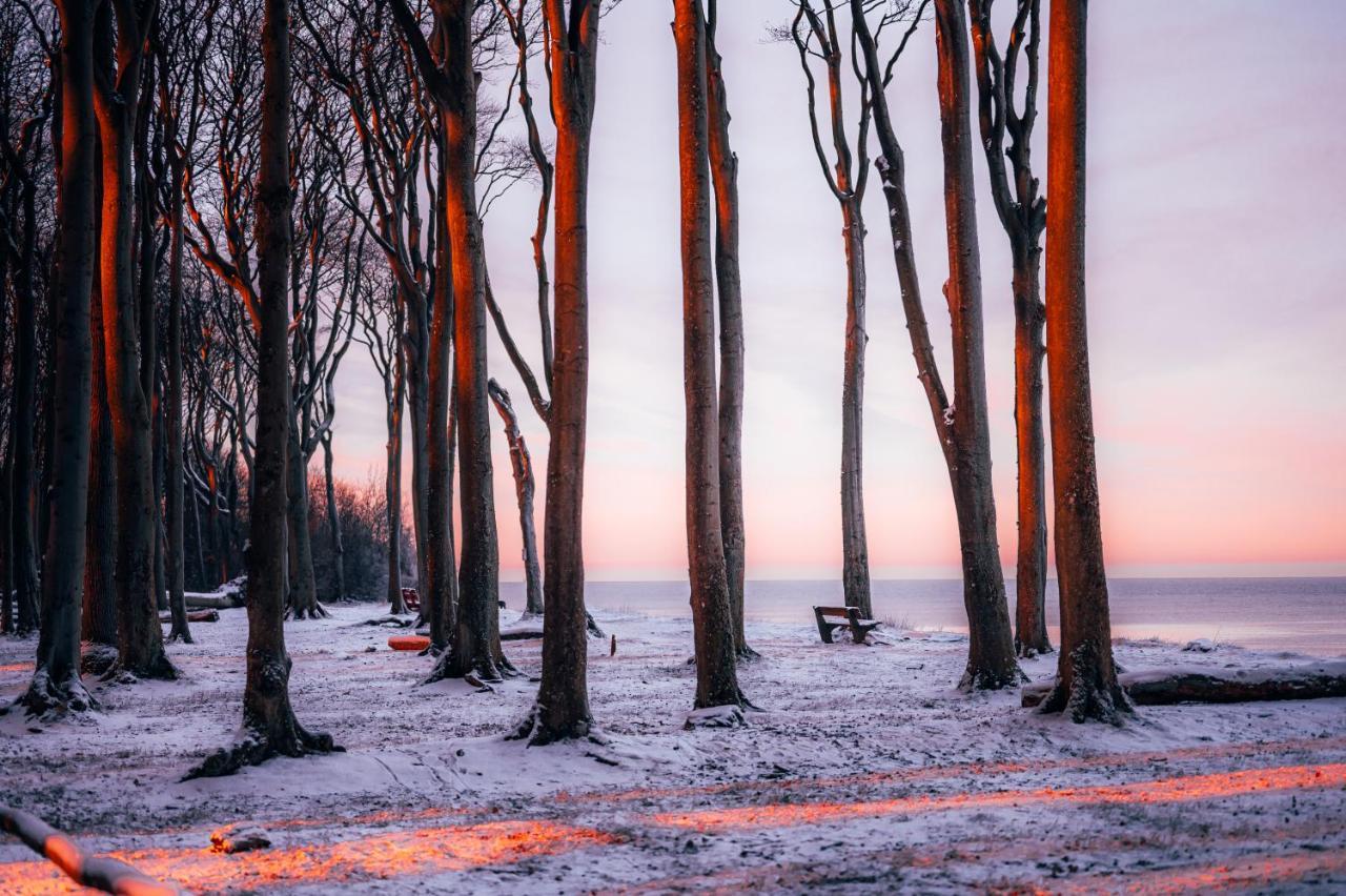 Ferienwohnung Sunset Bei Warnemuende روستوك المظهر الخارجي الصورة